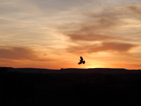 Kontrolní seznam pro let do Kuby: Co si zabalit?