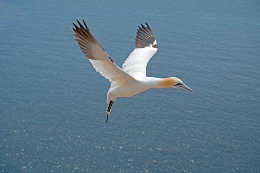 Průvodce: Jak najít nejlevnější letenky do Německa efektivně