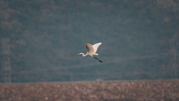 Tipy pro Bezproblémový Let do Thajska s Malým Dítětem